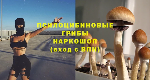 крисы Абдулино